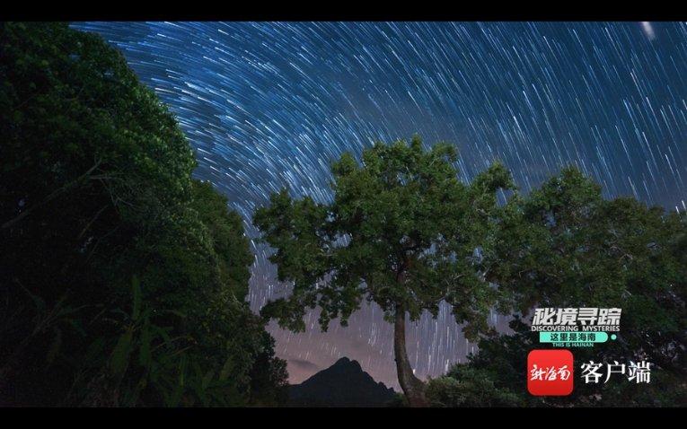 什么事情都无所谓敢爱敢恨我永不后悔歌词？游戏画面