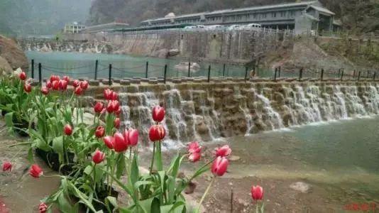 逆水寒