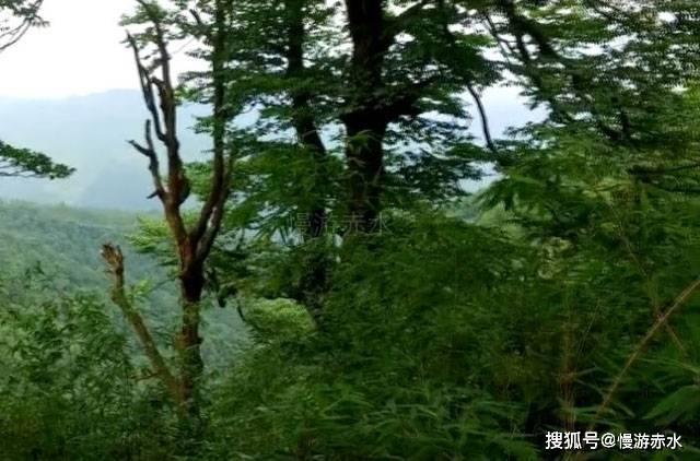李若彤57岁赶大集，7元烧饼换55元花袄，接地气获赞