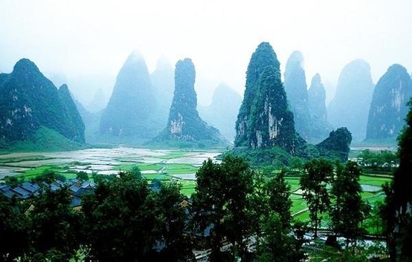 沪江开心词场