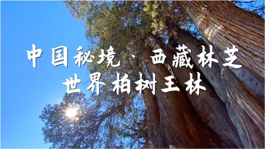 逗小猴开心系列180