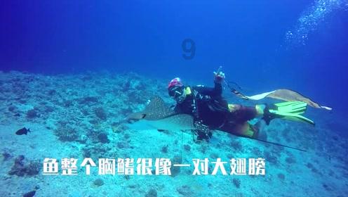 去年四川超35万辆新能源汽车免征车辆购置税近65亿元
