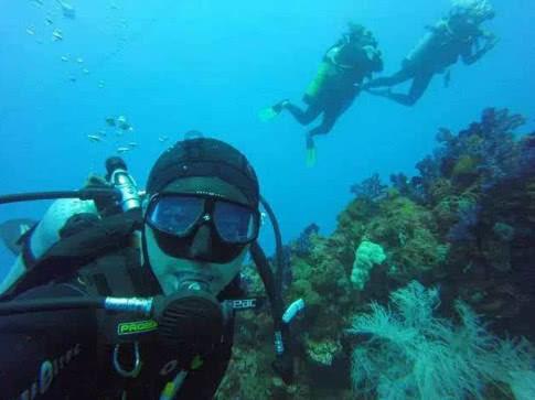 高德地图车机版V5.0下载游戏画面