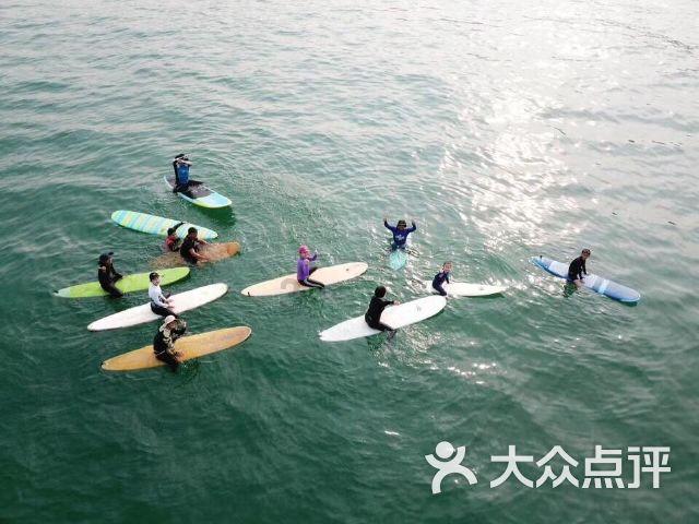 我修的可能是假仙