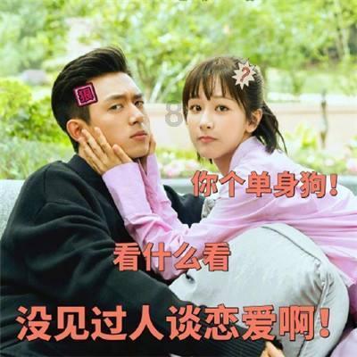 吃金币的猫