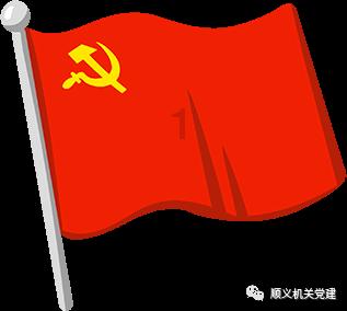 ITP诊断标准解析：深入了解血小板减少症的特征与鉴别诊断
