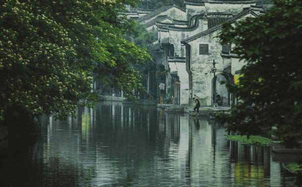 摩尔庄园手游驾照考试答案大全