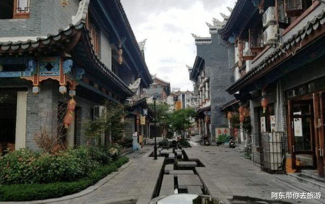 组装机械章鱼龙