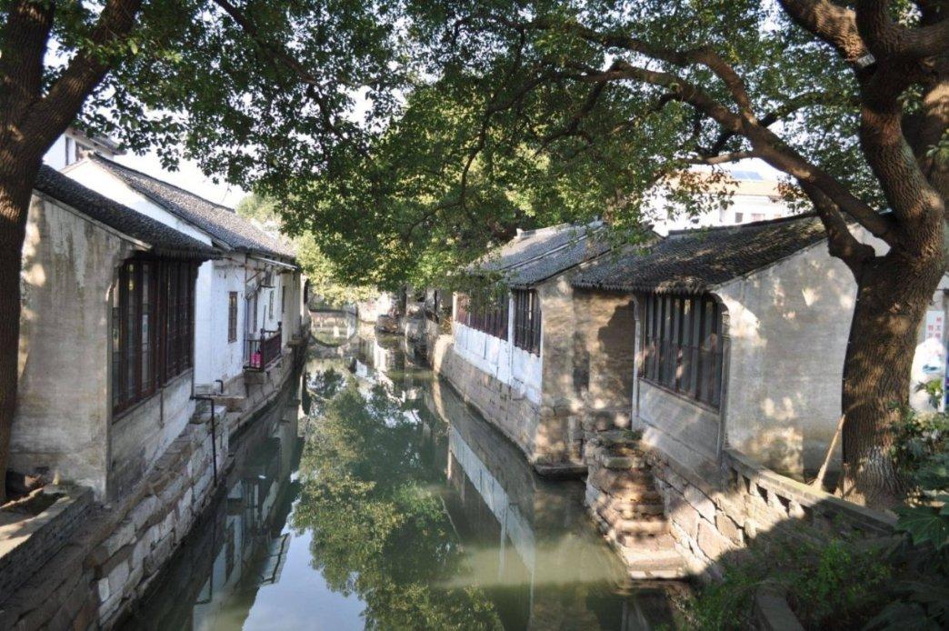 动物帮帮忙保卫家园