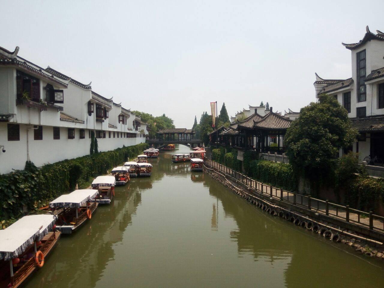 逃出猫头鹰岛