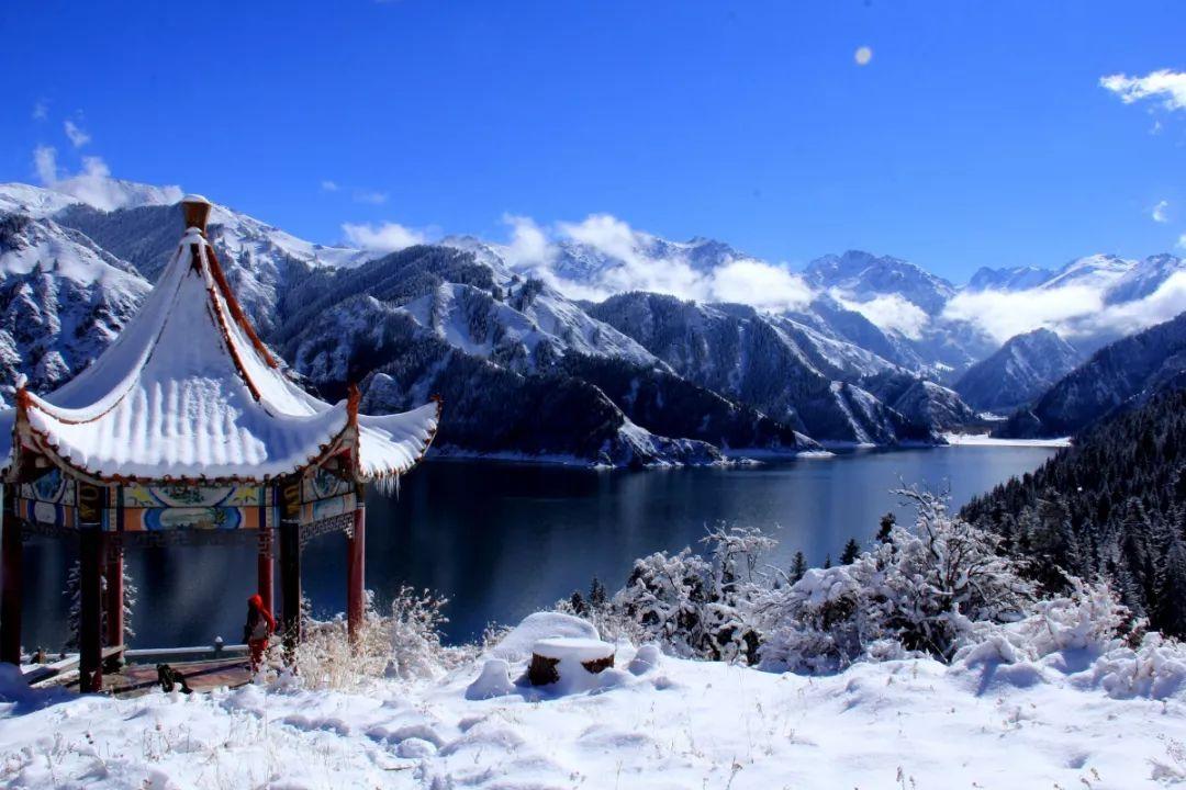 逃出熊蜂森林